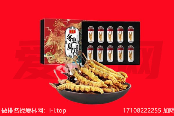 定西市通渭回收虫草.jpg